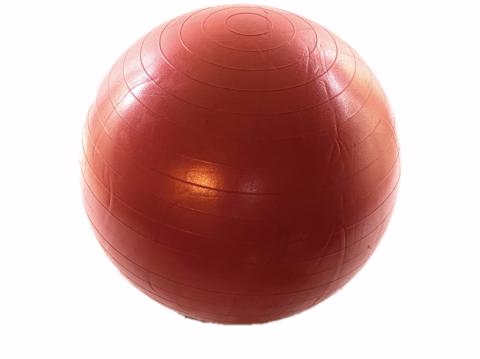 Μπάλα Γυμναστικής 55cm